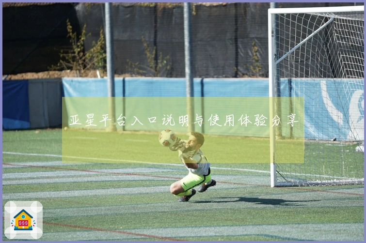 亚星平台入口说明与使用体验分享